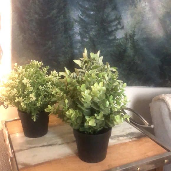 ❤️3/$30 IKEA fake plants 🪴 - Picture 4 of 8
